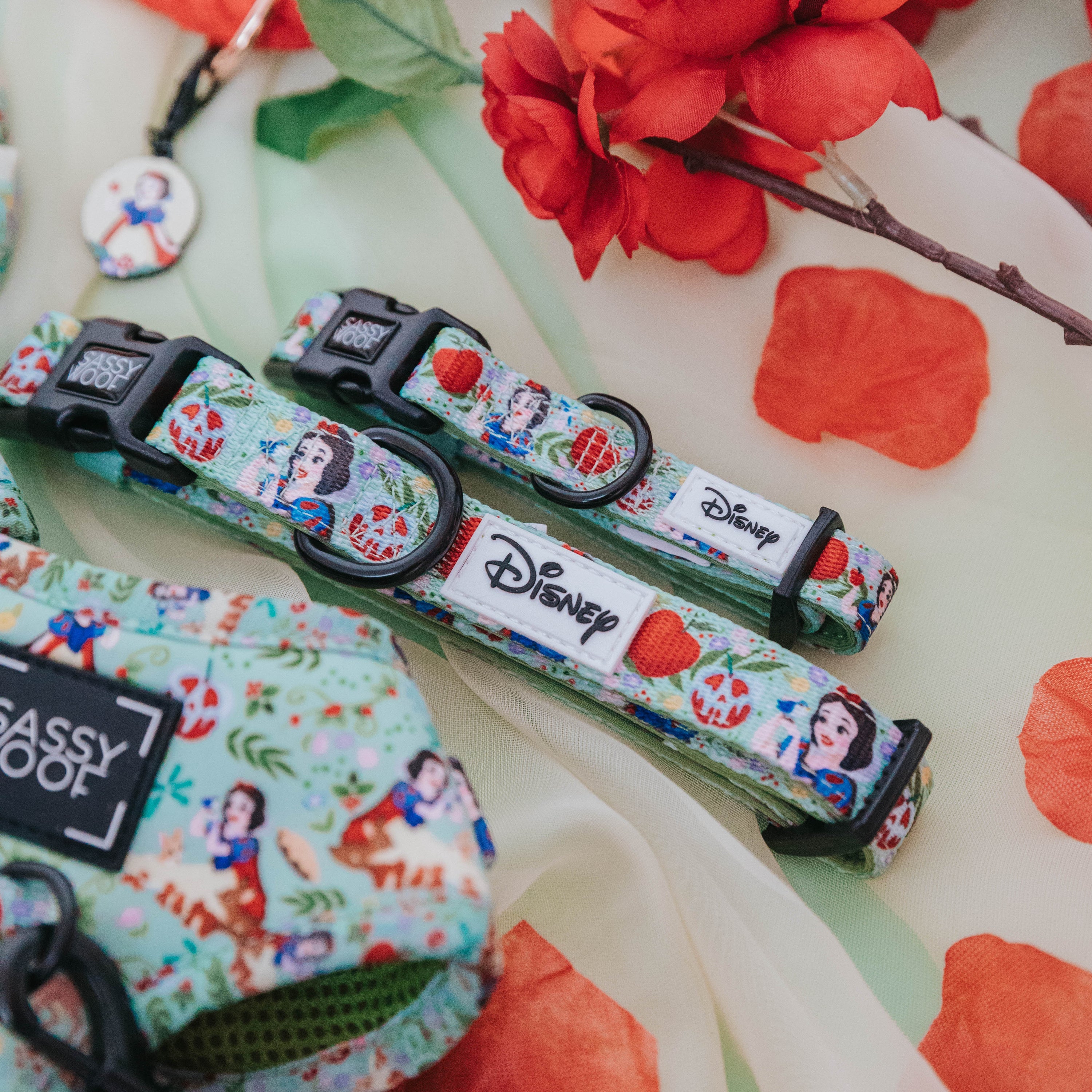 Dog Collar - Disneys Snow White