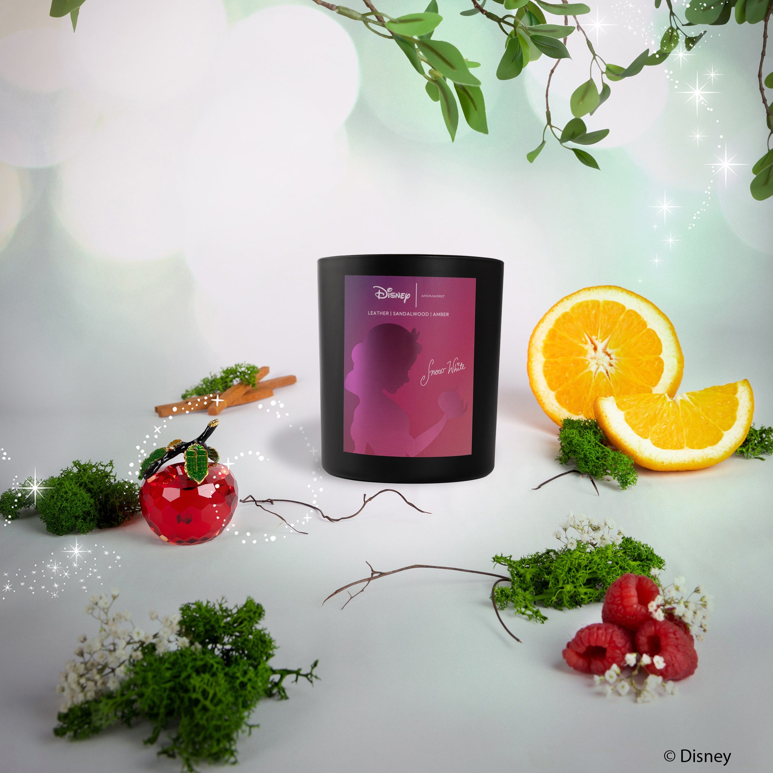 Disney My Way Candle - HT Animal Supply