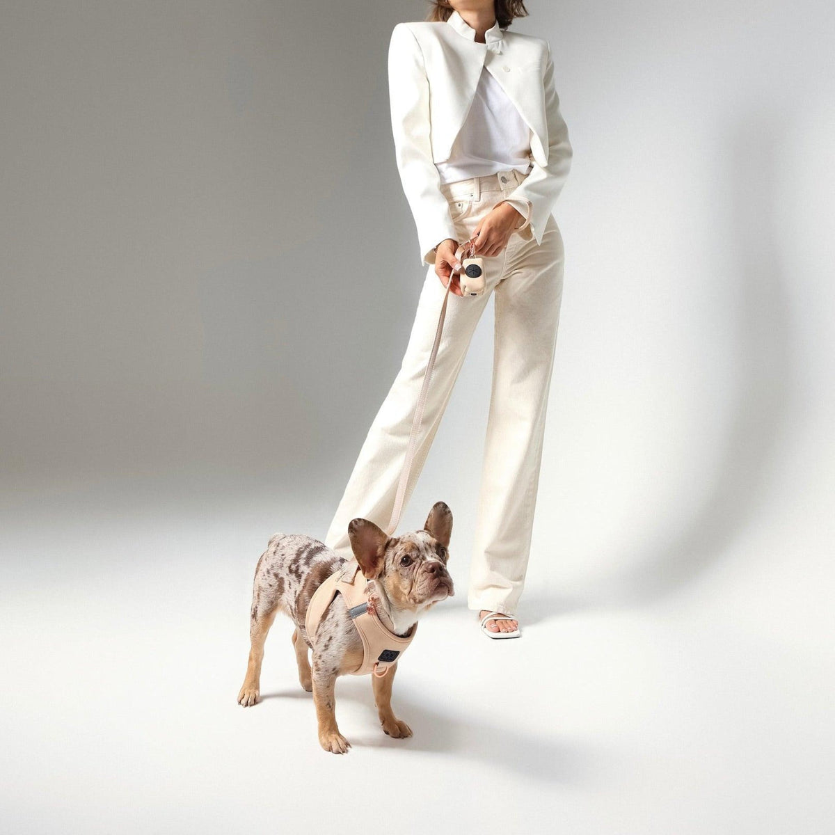 DOGISTRY SoHo Dog Harness - Dune