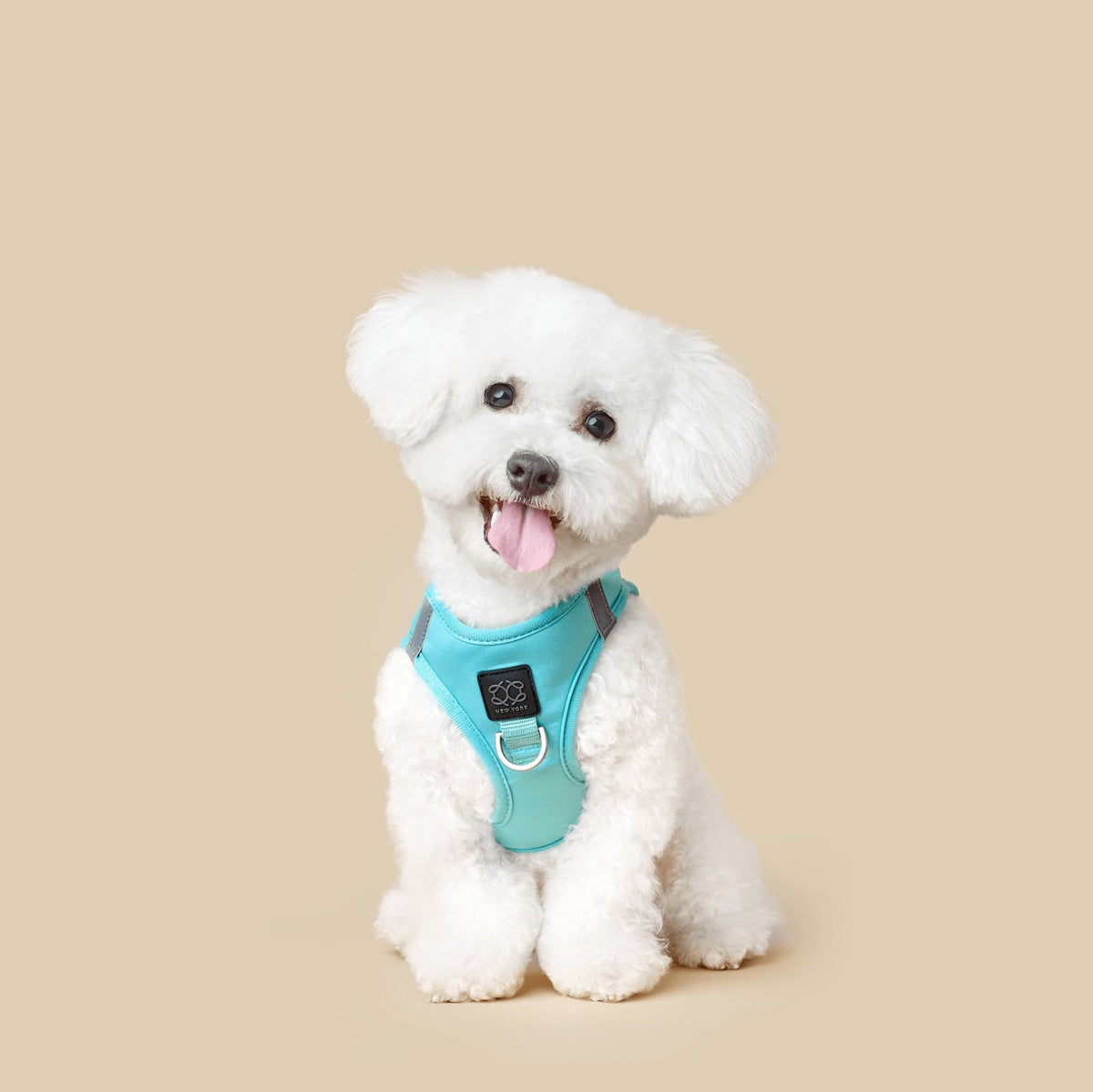DOGISTRY SoHo Dog Harness - Fifth Avenue