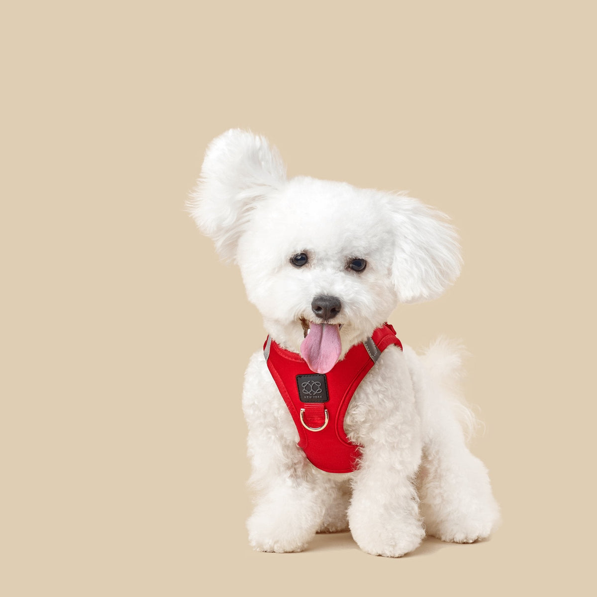 DOGISTRY SoHo Dog Harness - Iconic Red