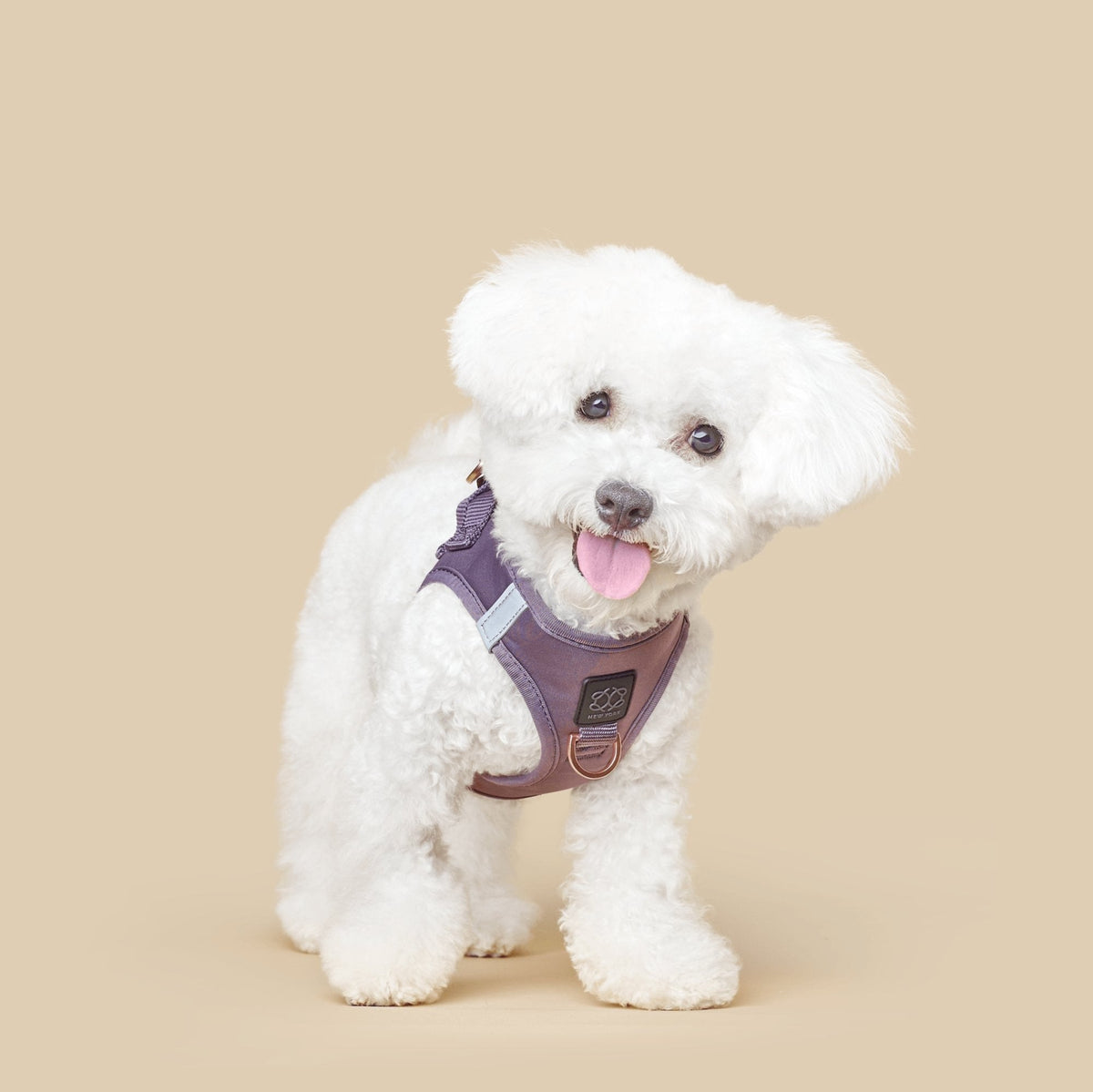 DOGISTRY SoHo Dog Harness - Lilac Gray