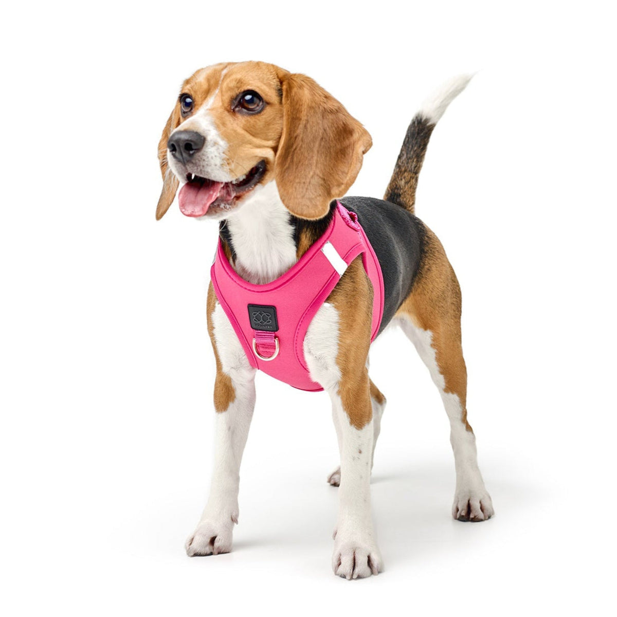DOGISTRY SoHo Dog Harness - Park Ave Pink