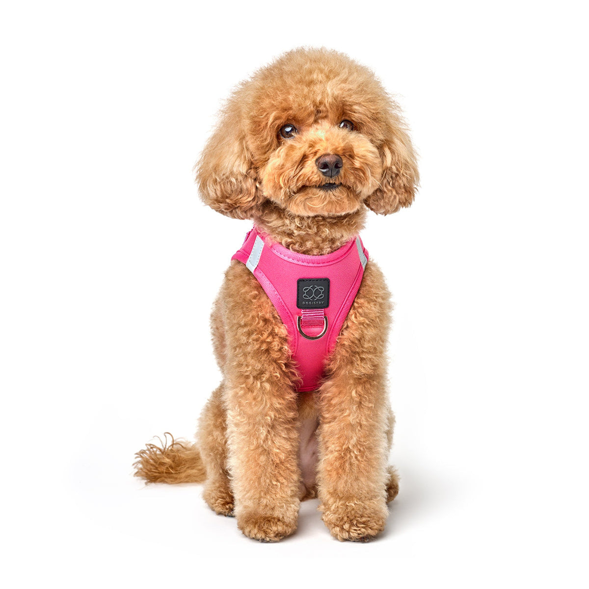 DOGISTRY SoHo Dog Harness - Park Ave Pink
