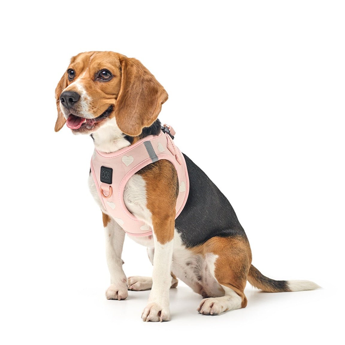 DOGISTRY SoHo Dog Harness - Sweetheart