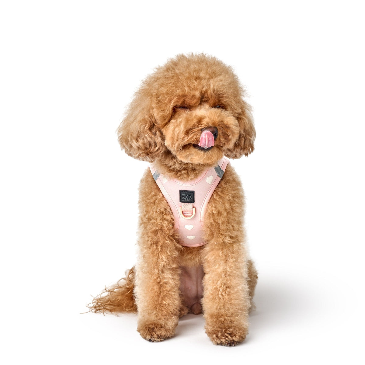 DOGISTRY SoHo Dog Harness - Sweetheart