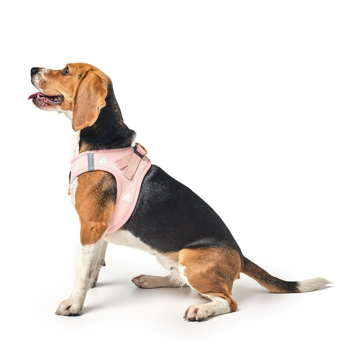 DOGISTRY SoHo Dog Harness - Sweetheart