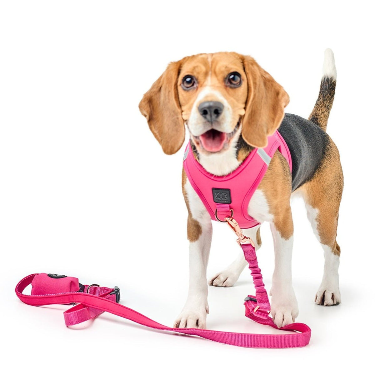 DOGISTRY Dog Waste Bag Holder - Park Ave Pink
