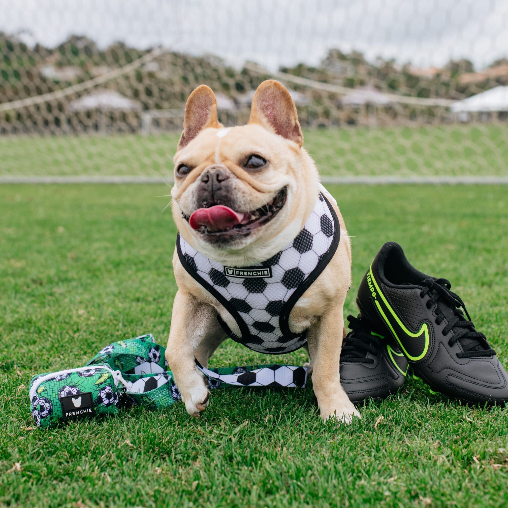 Frenchie Duo Reversible Harness - Soccer