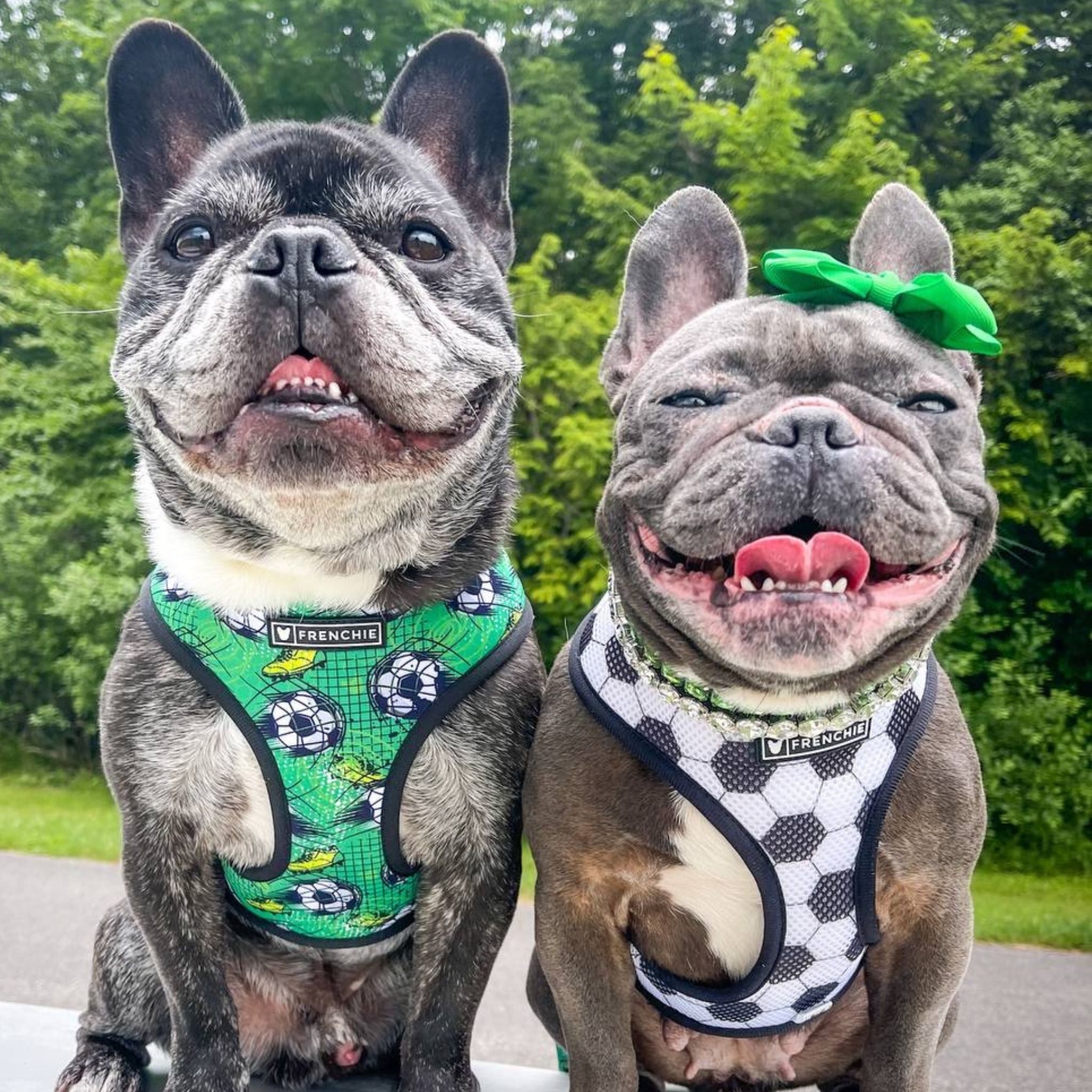 Frenchie Duo Reversible Harness - Soccer