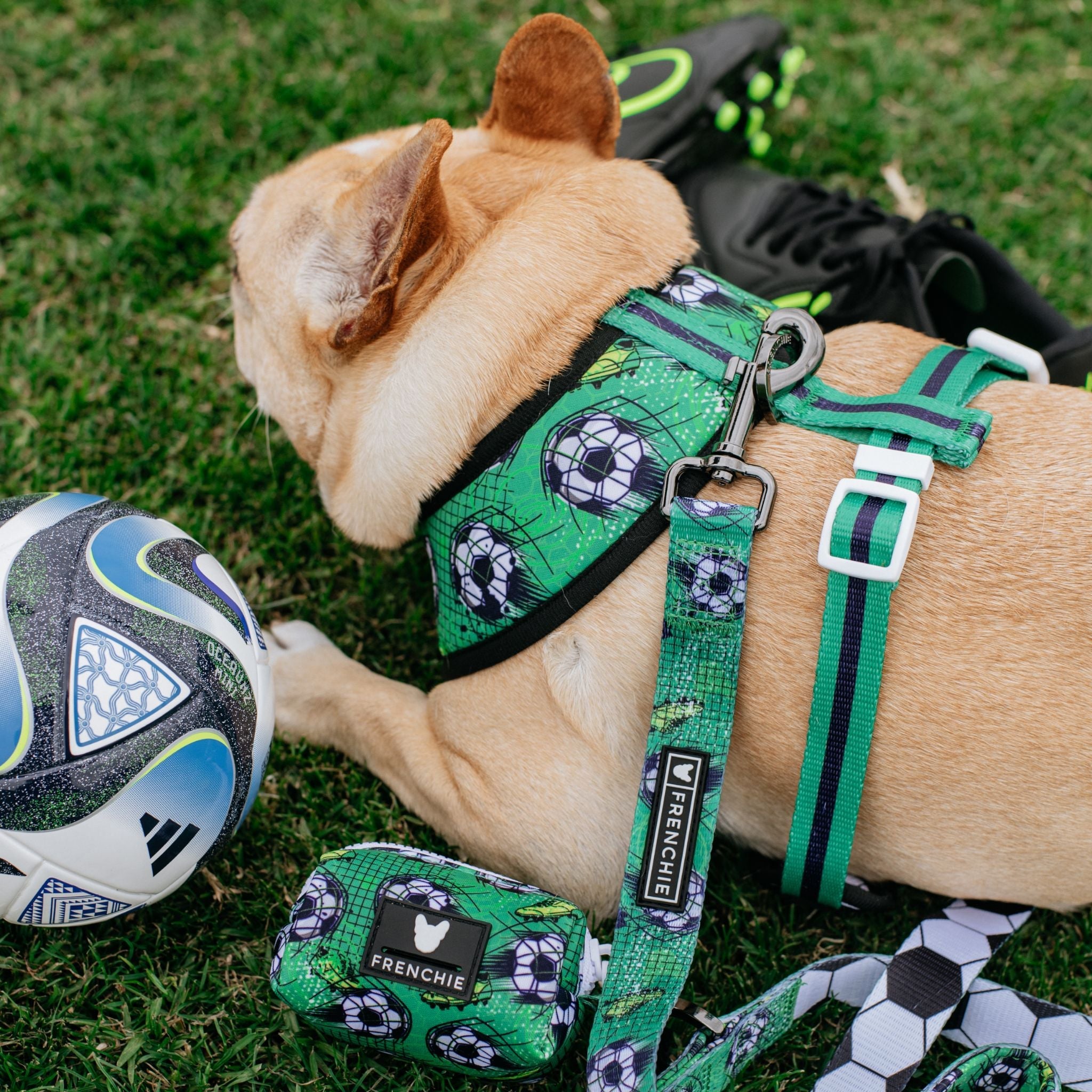 Frenchie Duo Reversible Harness - Soccer