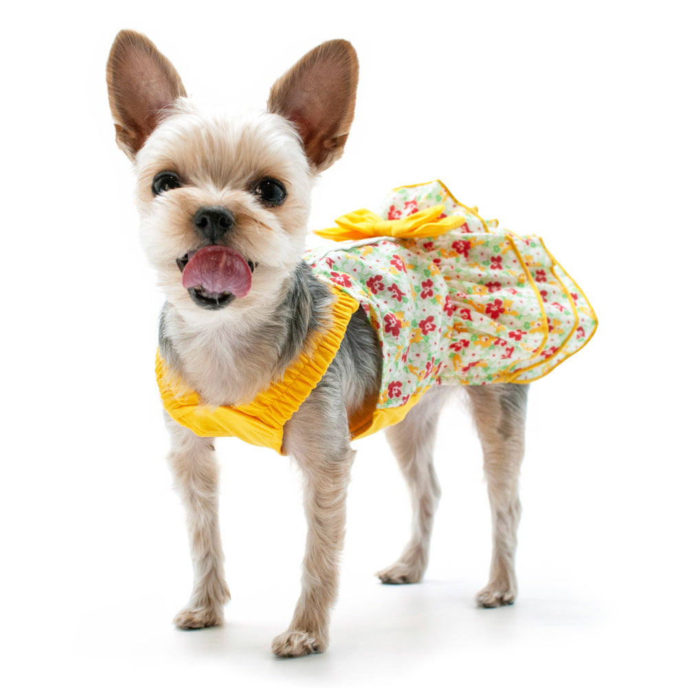 DOGO Southern Belle Dog Dress