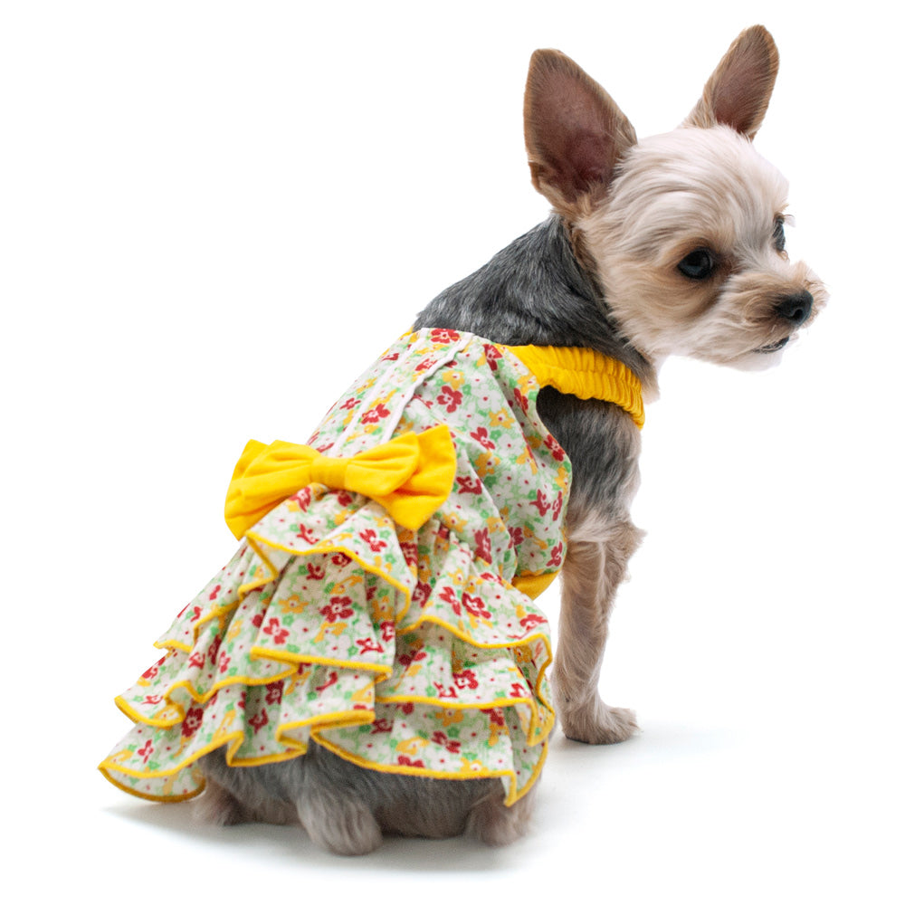 DOGO Southern Belle Dog Dress