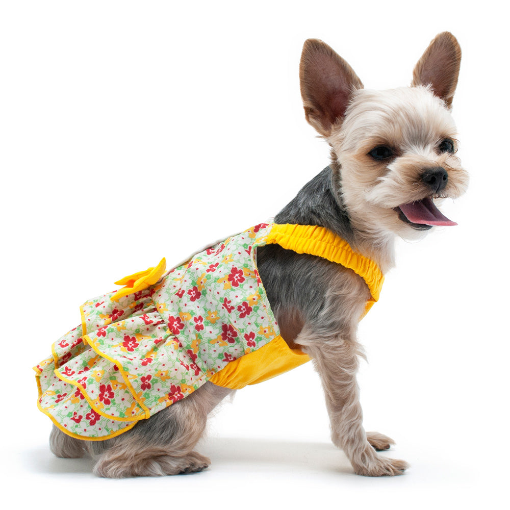 DOGO Southern Belle Dog Dress