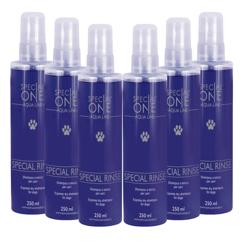 Special Rinse Dry Shampoo box of 6 250 ml by Special One