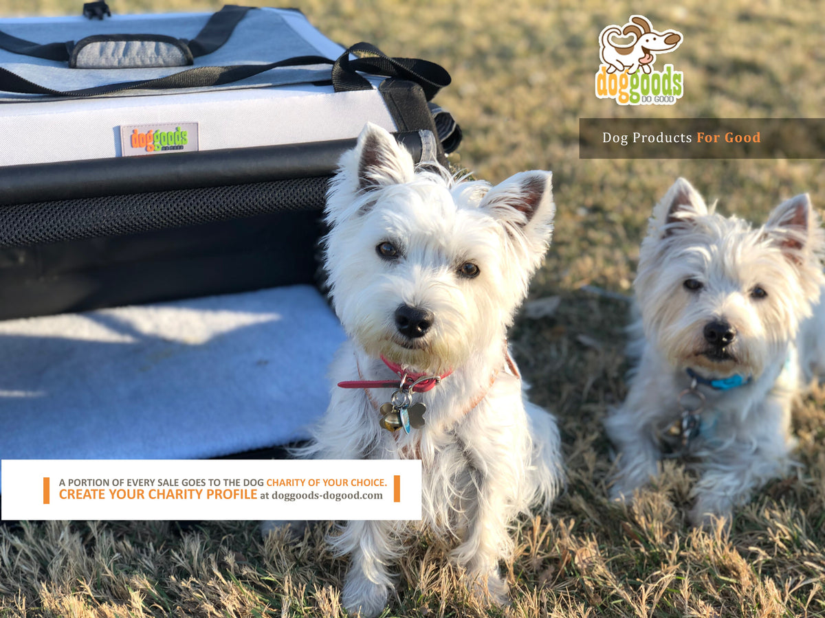 The Foldable Travel Dog Crate By DogGoods
