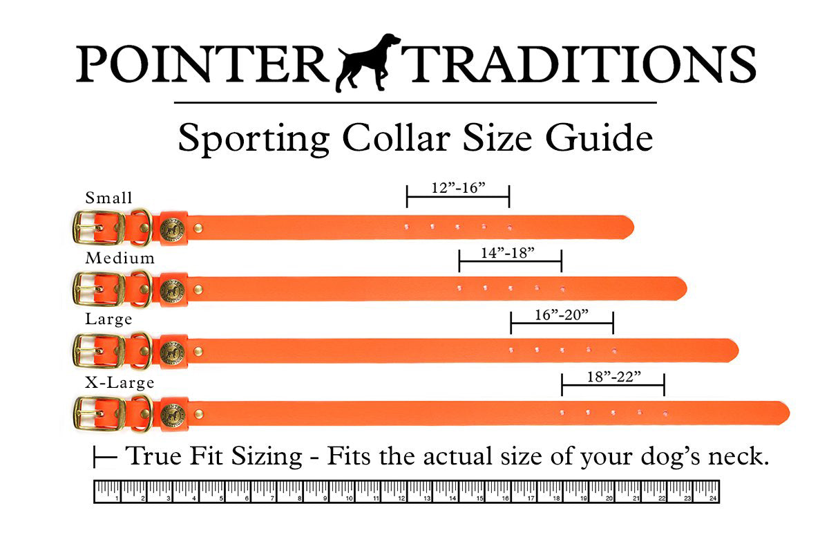 Sporting Dog Collar - Leather Brown