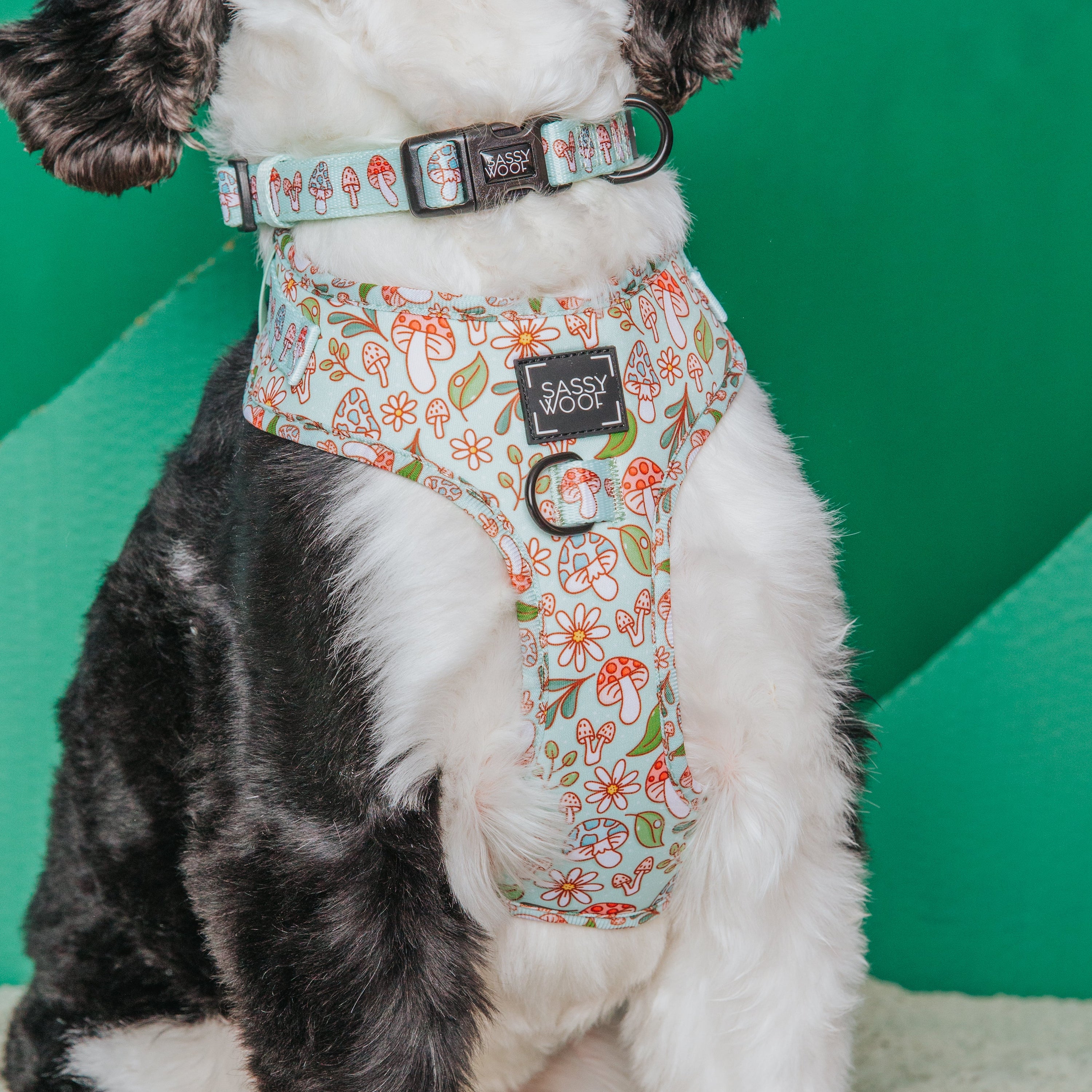 Dog Collar - Shrooms & Blooms