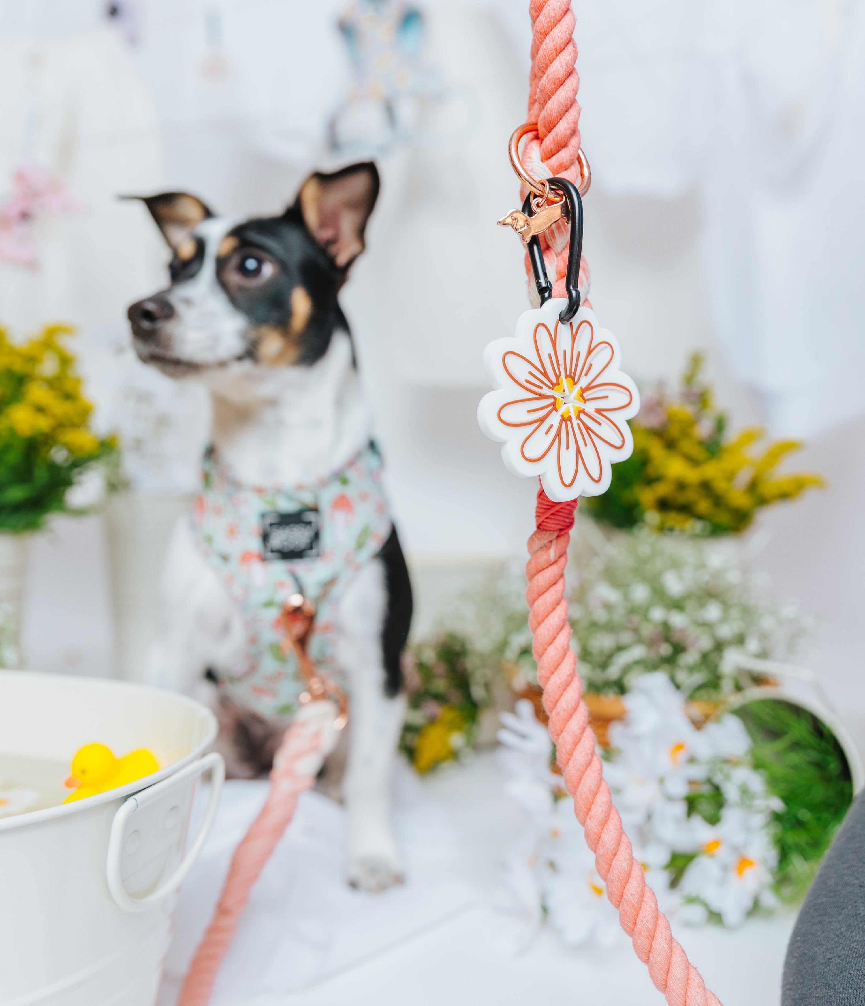Dog Adjustable Harness - Shrooms & Blooms