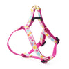 Up Country Spring Fever Small Breed Dog Harness Made in USA