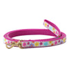 Up Country Spring Fever Small Breed Dog Leash Made in USA