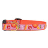 Up Country Spritz Narrow Cast Brass Dog Collar