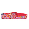 Up Country Spritz Small Breed Dog Collar Made in USA