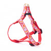 Up Country Spritz Small Breed Dog Harness Made in USA