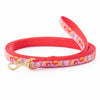 Up Country Spritz Small Breed Dog Leash Made in USA