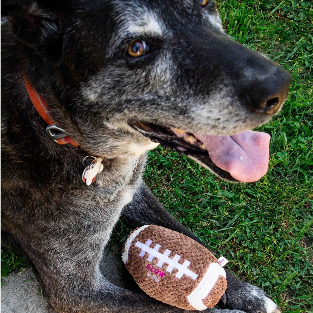 Glow Pups: Football Squeaky Plush Dog Toy