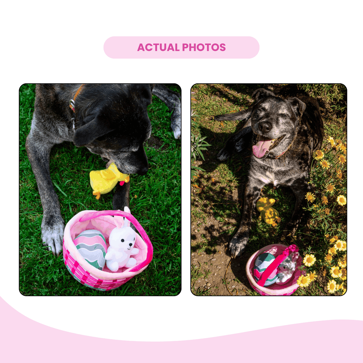Glow Pups: Easter Basket Plush Dog Toy Set with Bunny, Chick and Egg