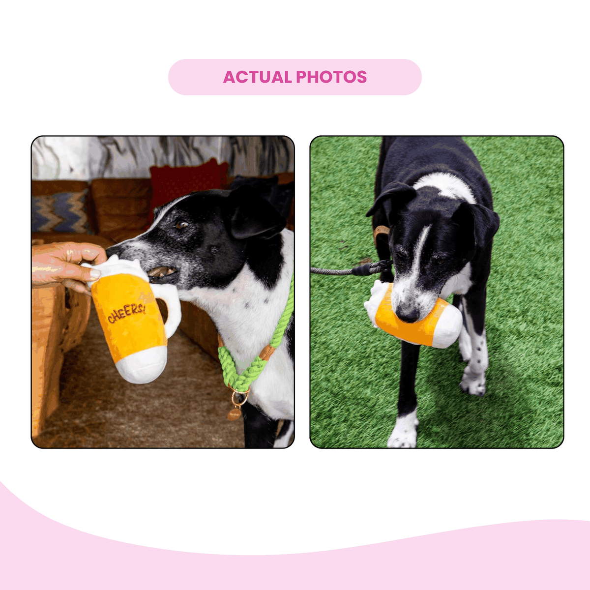 Glow Pups: Beer Glass Plush Dog Toy