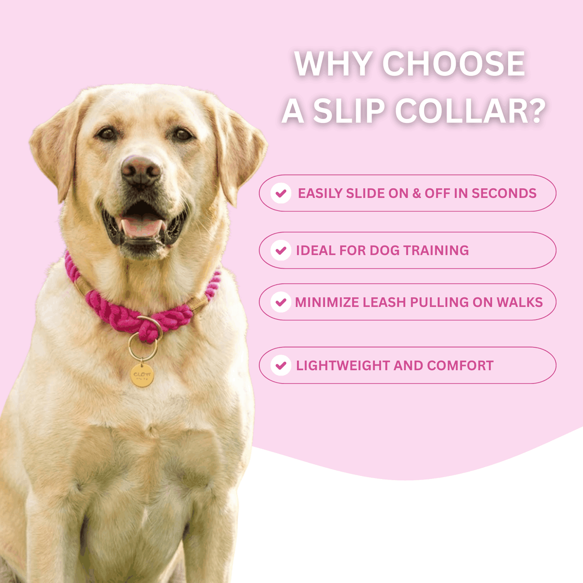 Glow Pups: Orange Stylish Rope Slip Dog Collar
