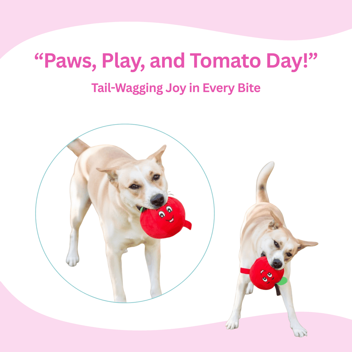 Glow Pups: Tomato Squeaky Plush Dog Toy
