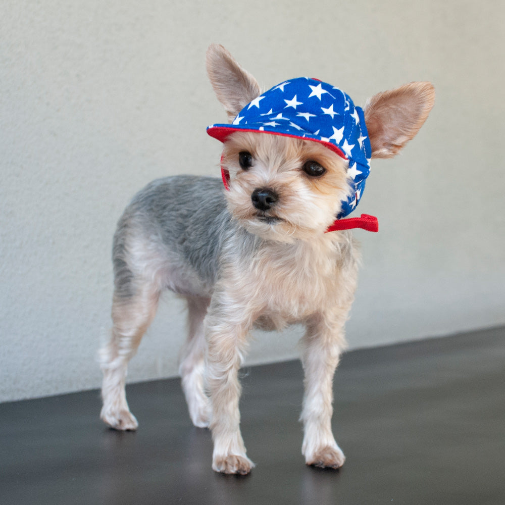 DOGO Star Dog Baseball Hat