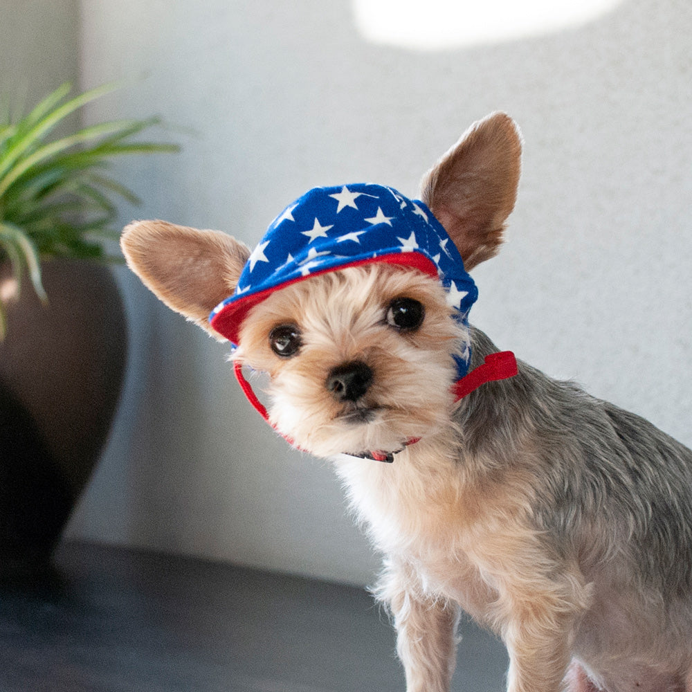 DOGO Star Dog Baseball Hat