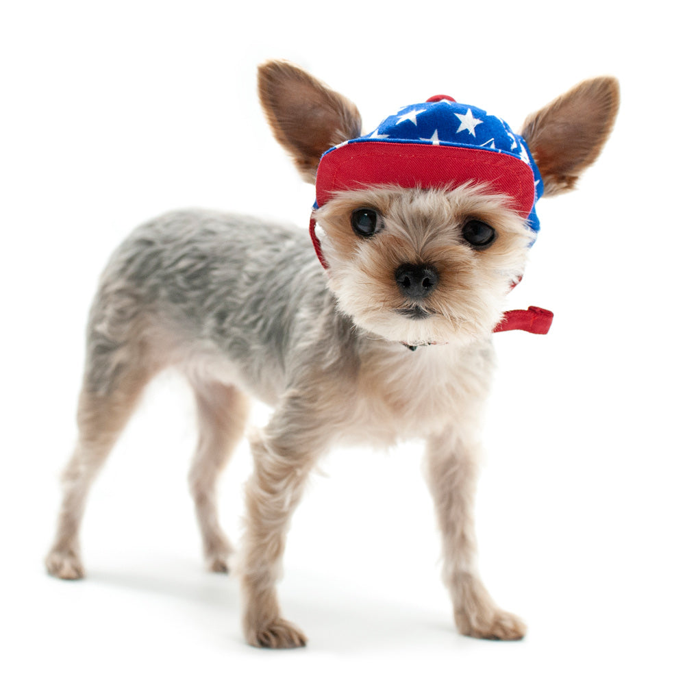DOGO Star Dog Baseball Hat
