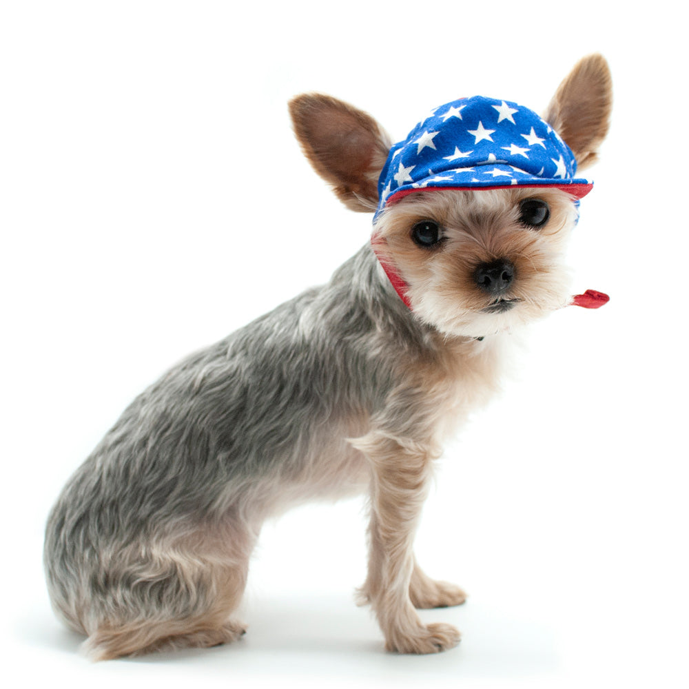 DOGO Star Dog Baseball Hat