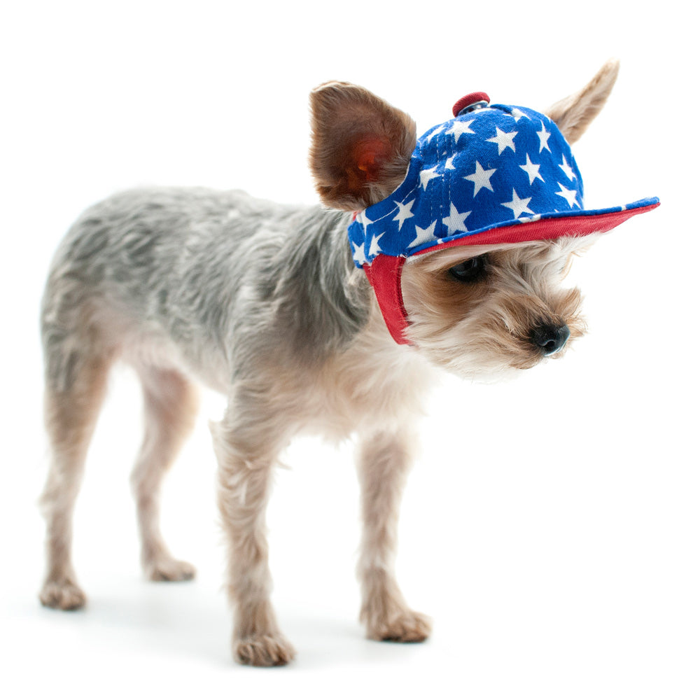 DOGO Star Dog Baseball Hat