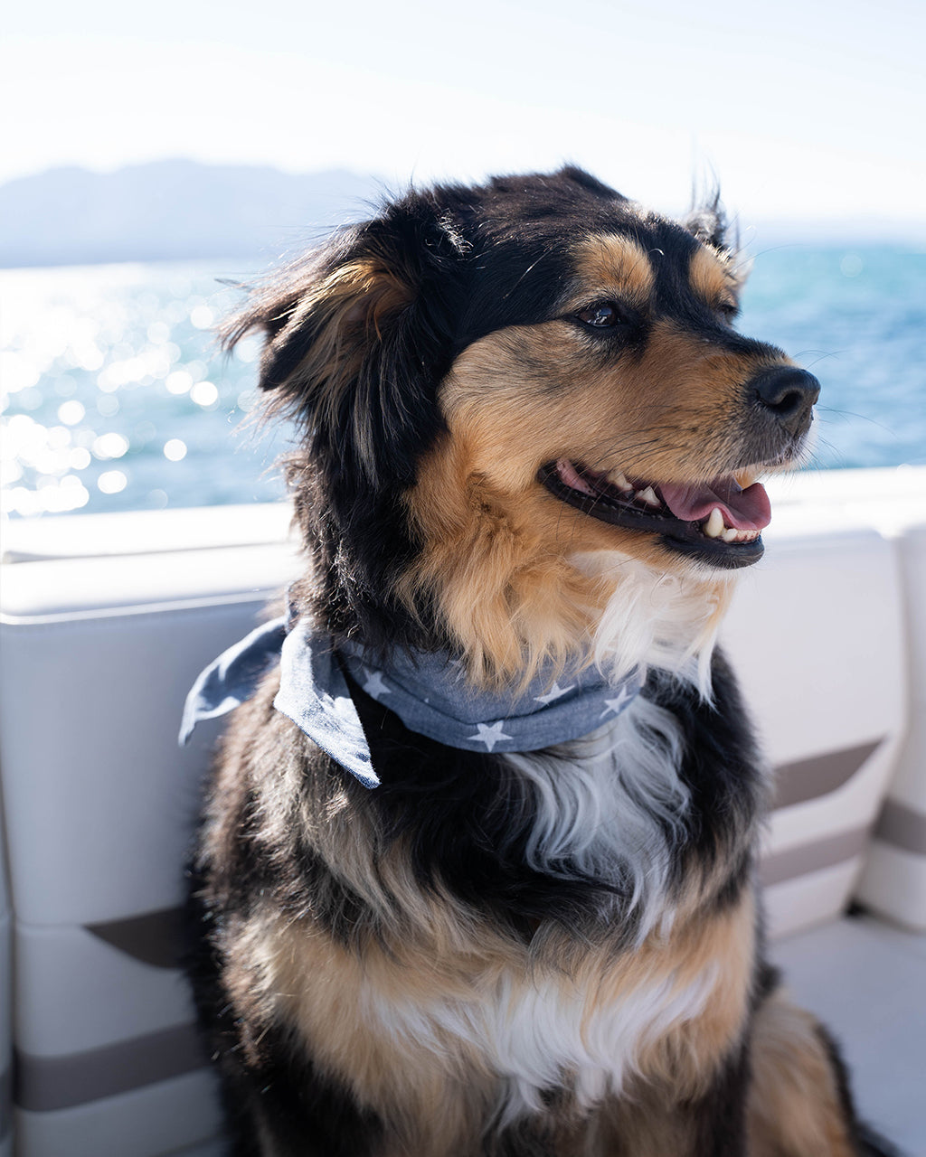 Adventure Necktie