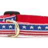 Stars and Stripes Small Breed Dog Collar