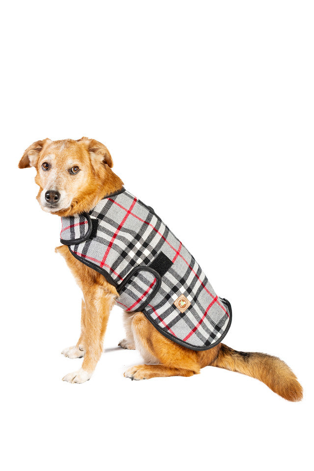 Steel Tartan Wool Dog Blanket Coat