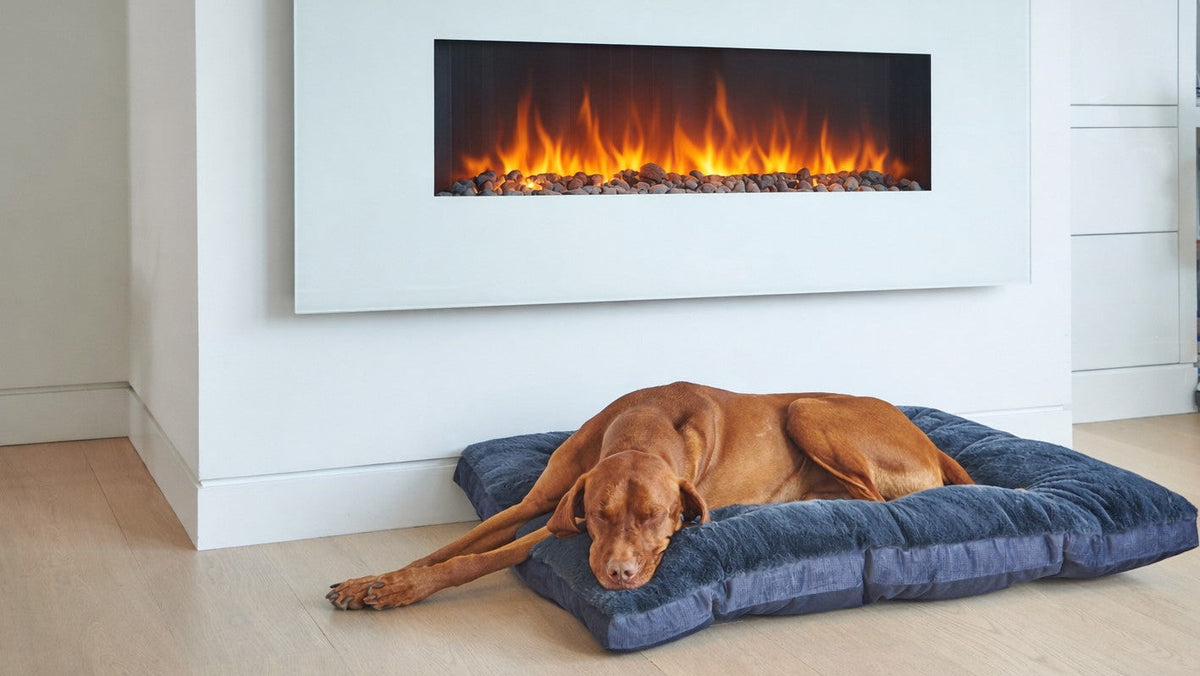 Bowsers Dream Futon Dog Bed - Cloud-Like Cushioning for Stretch-Out Sleep