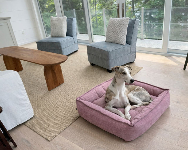 Bowsers Sterling Lounge Orthopedic Dog Bed - Spacious Everyday Lounge Comfort