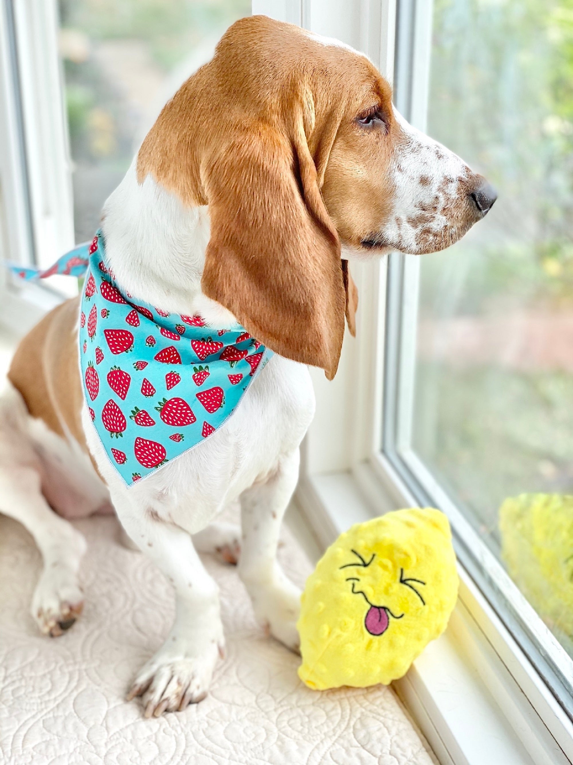 Strawberry Tie Dog Bandana