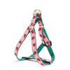 Up Country Strawberry Fields Dog Cast Brass Dog Harness