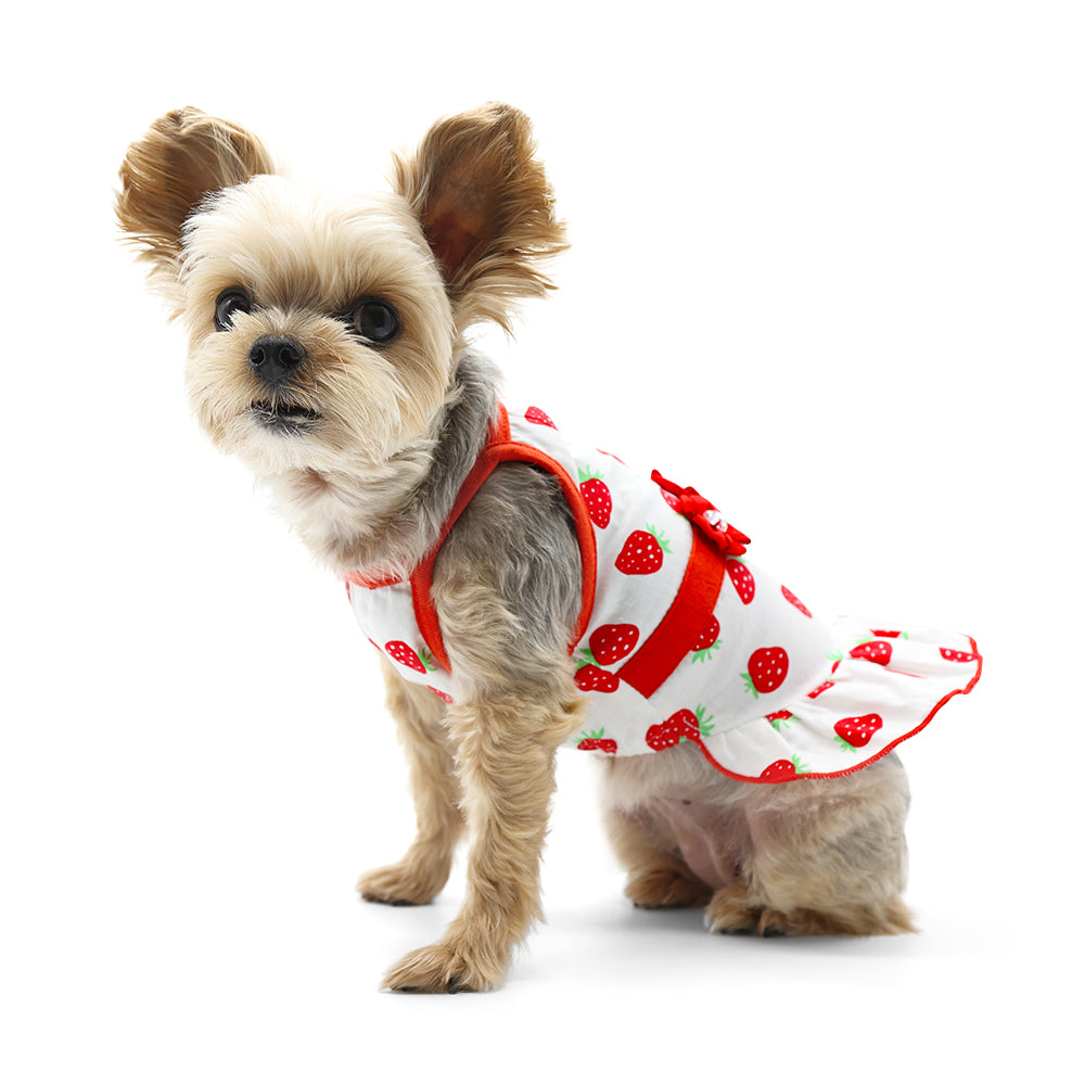 DOGO Strawberry Dog Dress