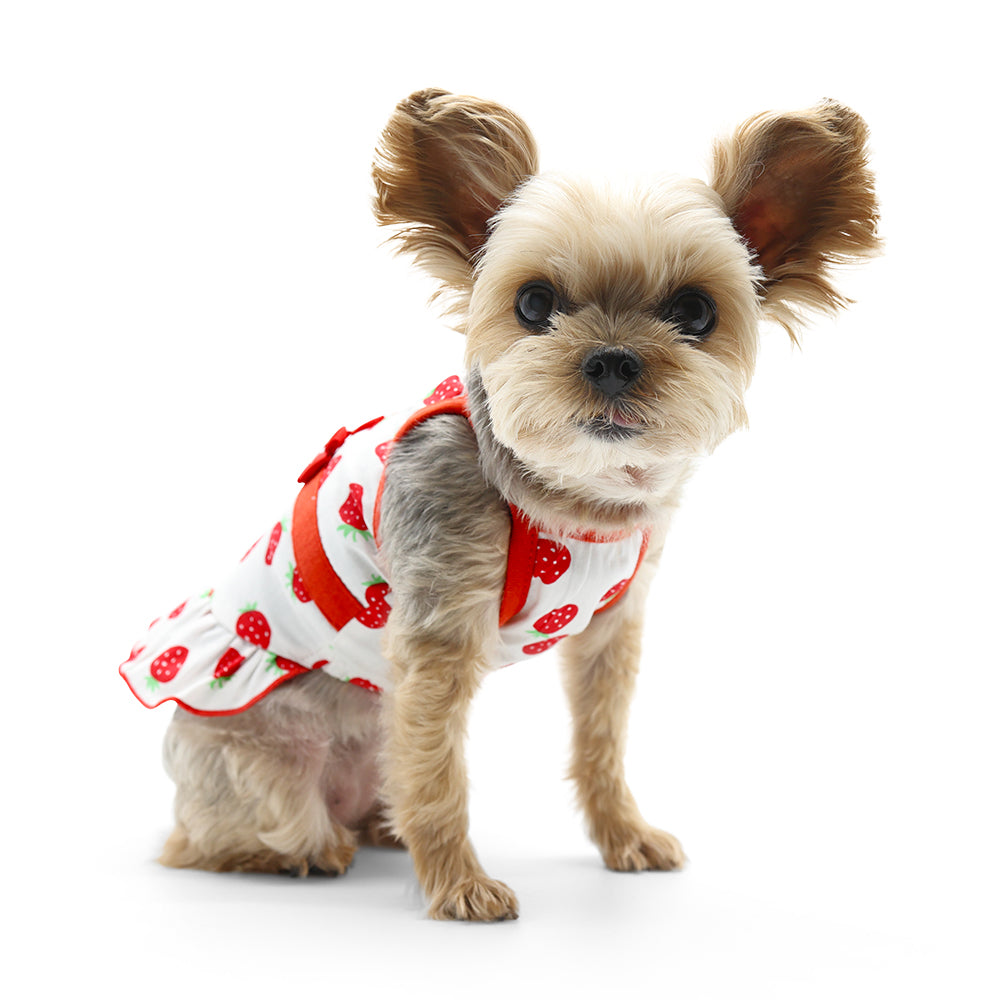 DOGO Strawberry Dog Dress