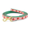 Up Country Strawberry Fields Small Breed Dog Leash Made in USA