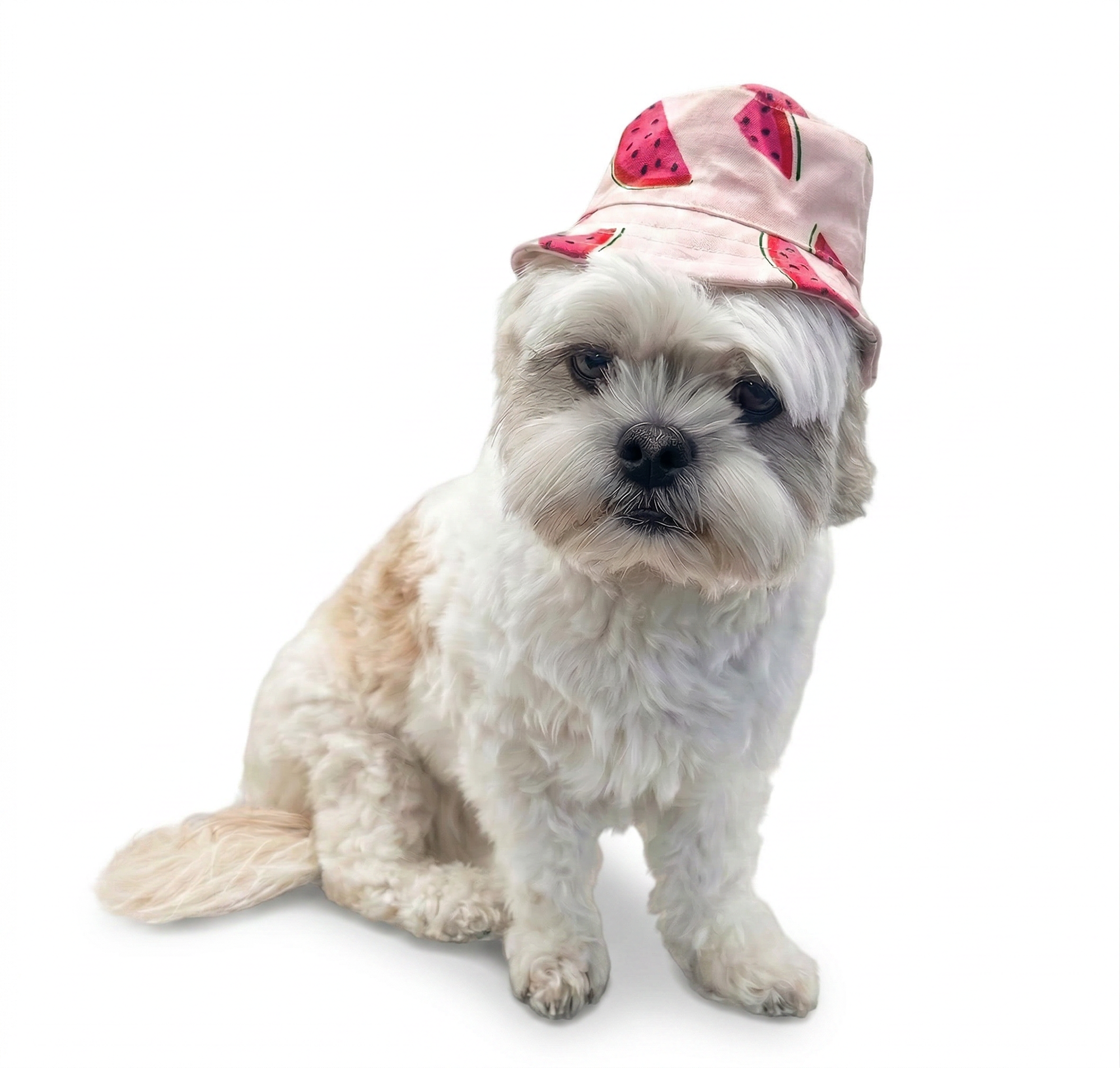 DOGO Watermelon Dog Bucket Hat
